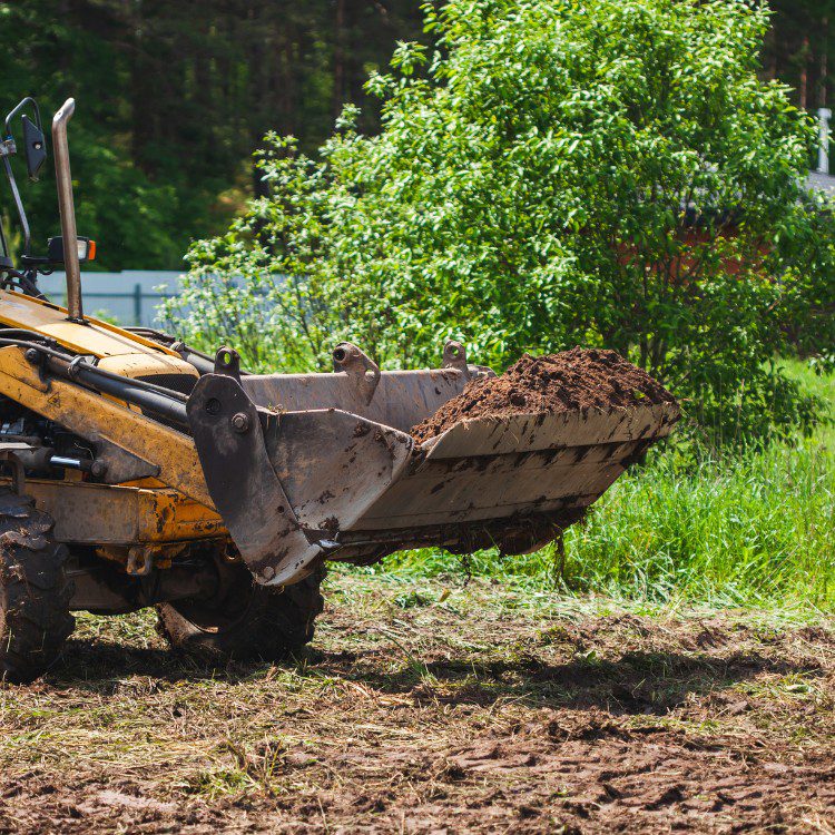 Land Clearing Land Clearing