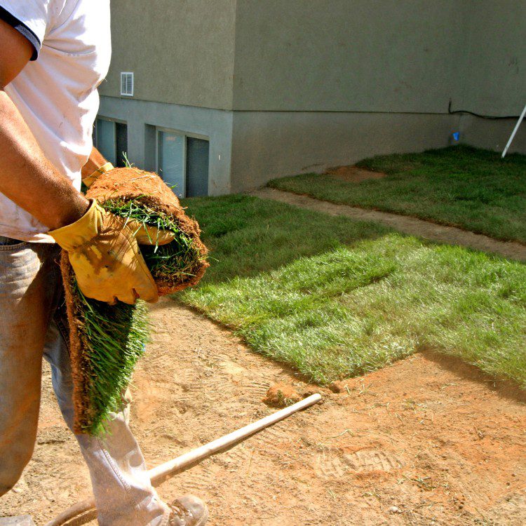 General Landscaping