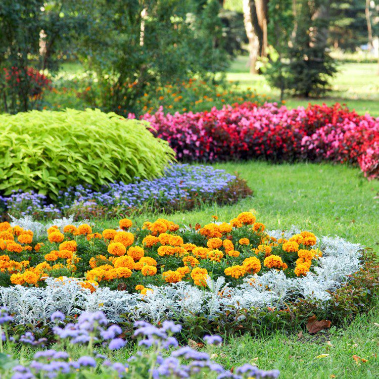 General Landscaping