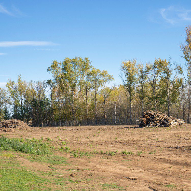 Land Clearing