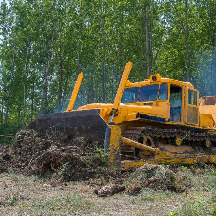 Land Clearing Land Clearing