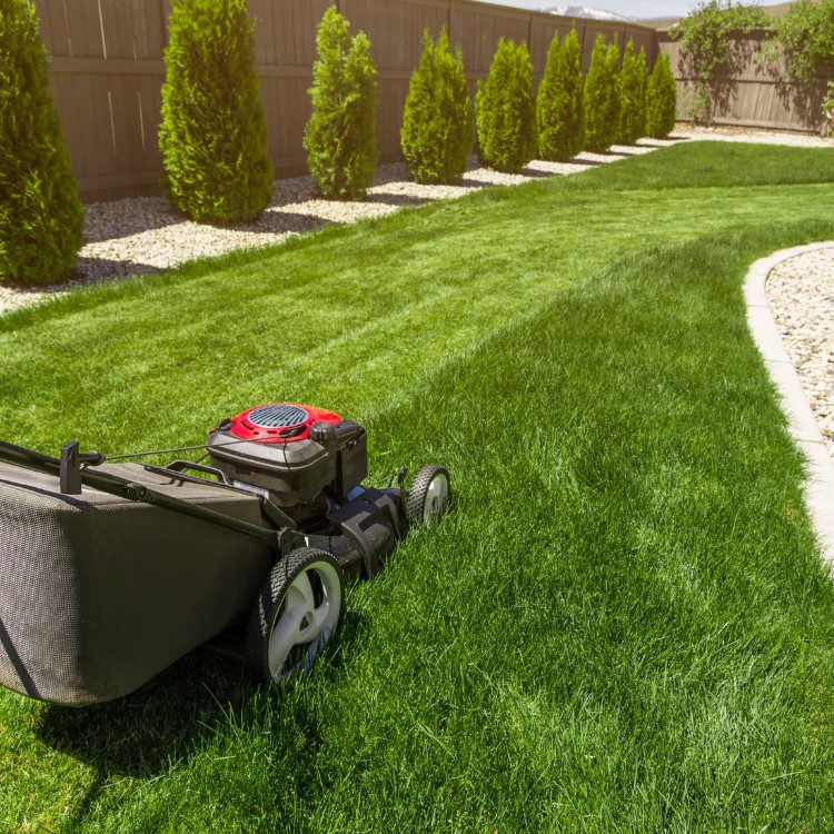 Commercial and Residential Lawn Maintenance