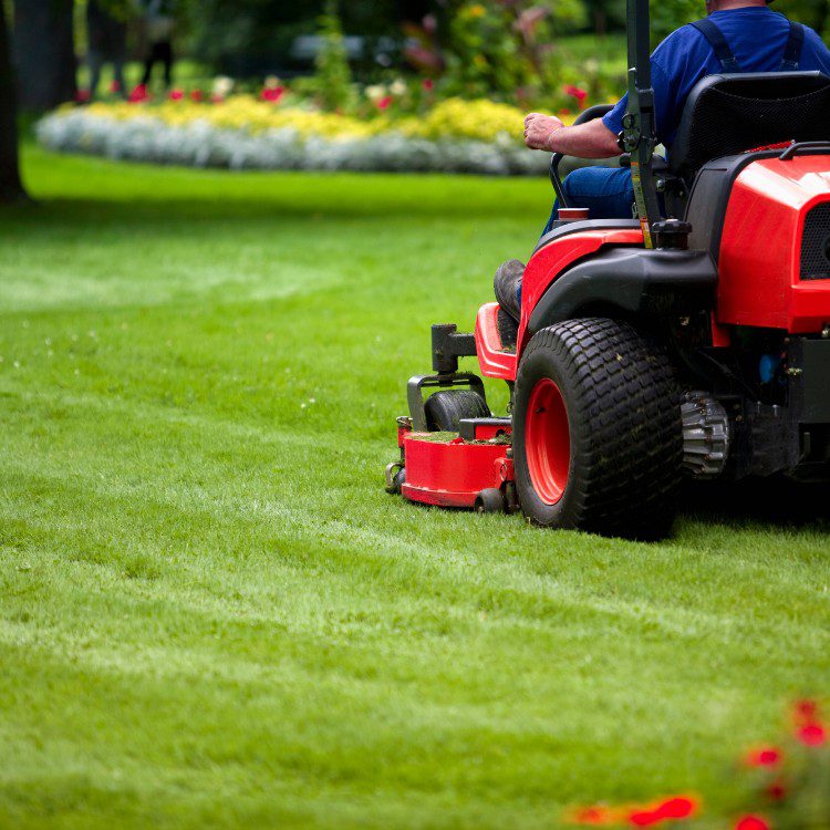 Commercial and Residential Lawn Maintenance