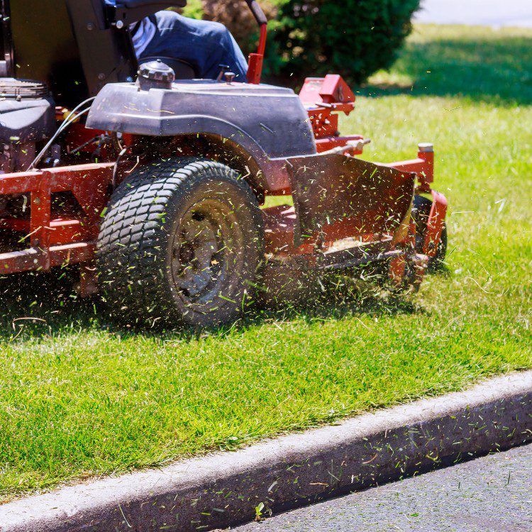 Commercial and Residential Lawn Maintenance Commercial and Residential Lawn Maintenance